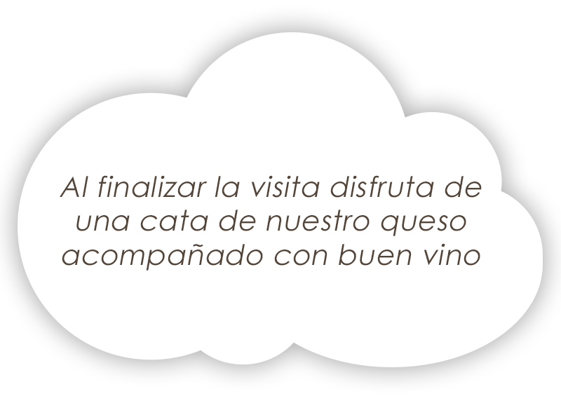 nube-cata-quesos